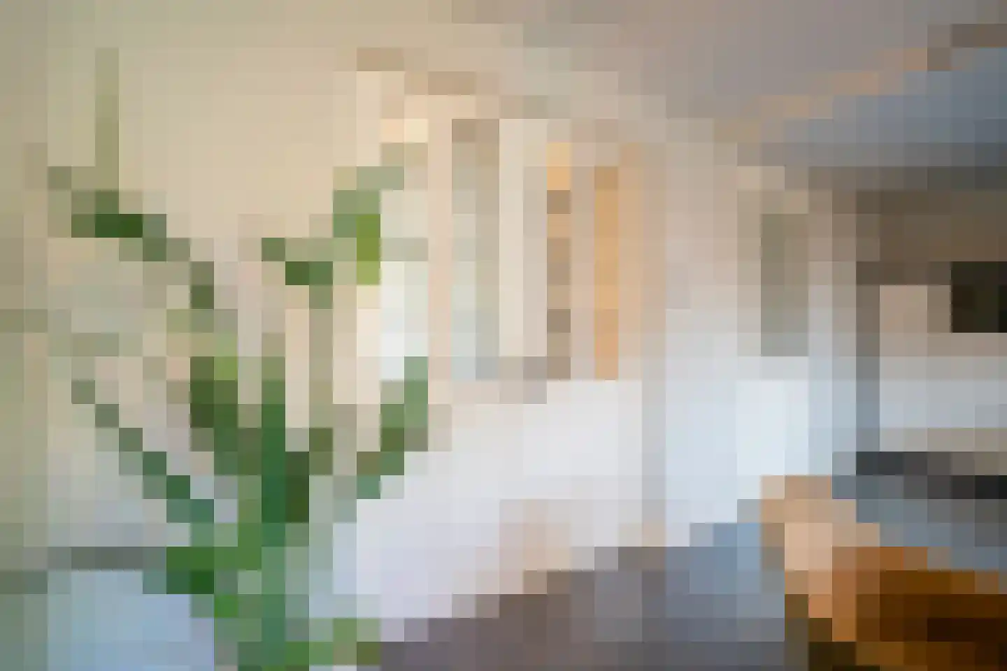 Pastinaak 4 Diessen thumbnail 15