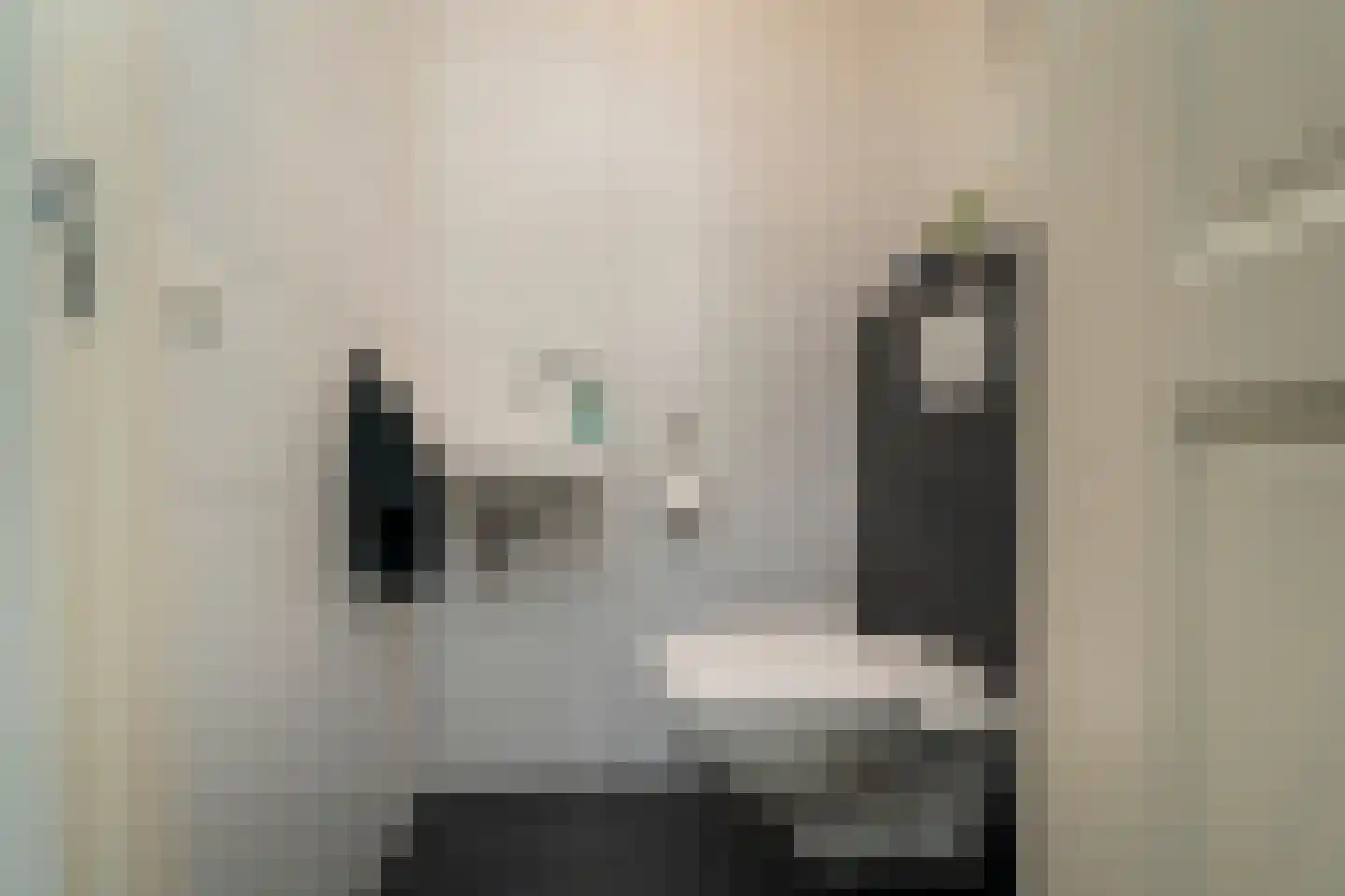 Pastinaak 4 Diessen thumbnail 20