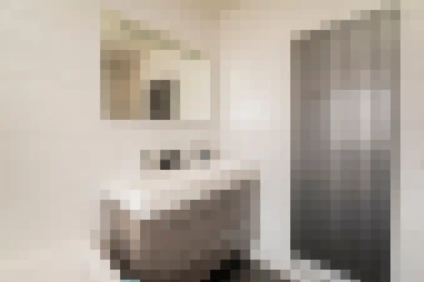 Pastinaak 4 Diessen thumbnail 32