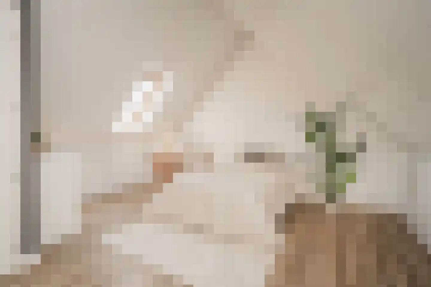 Pastinaak 4 Diessen thumbnail 35