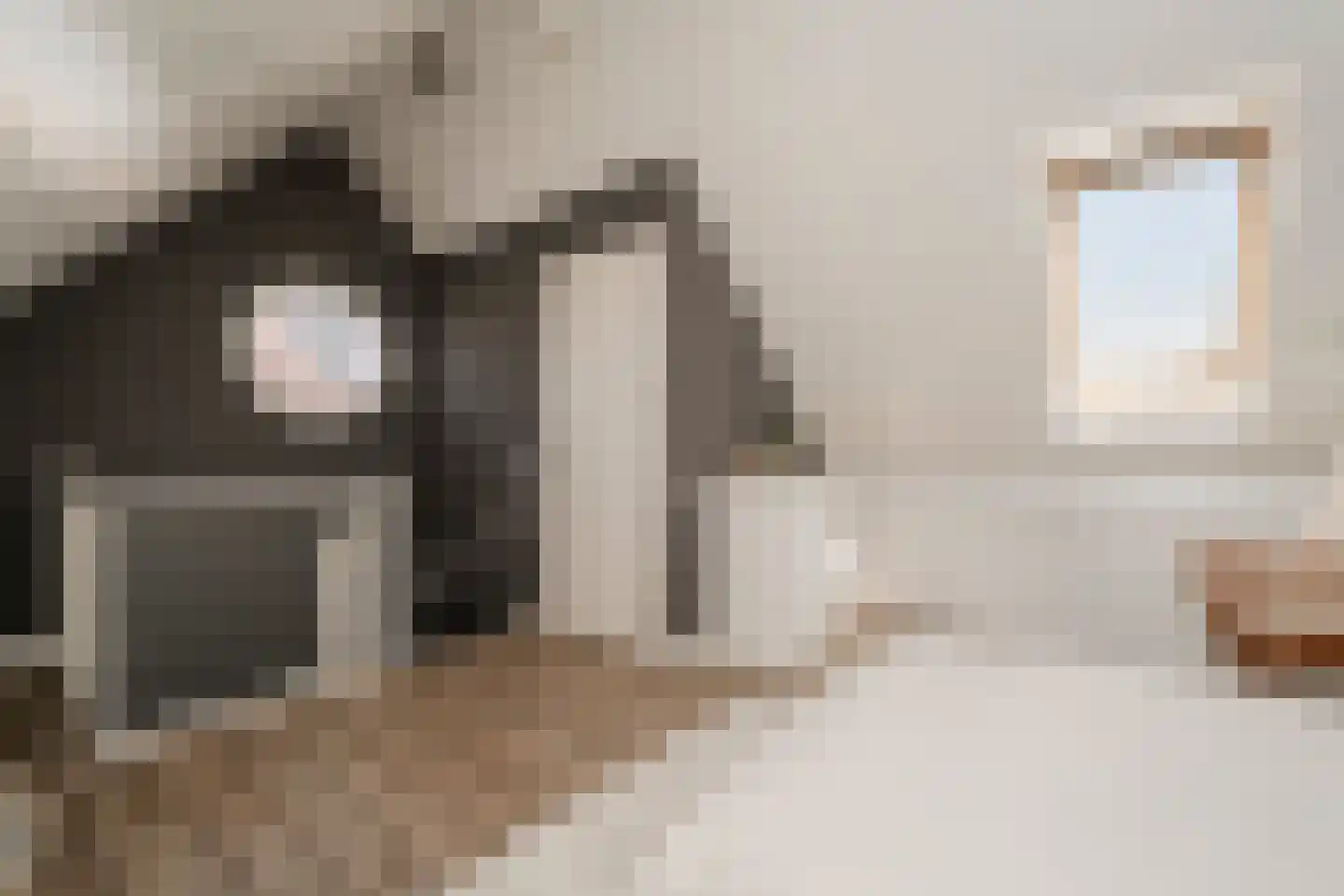 Pastinaak 4 Diessen thumbnail 36