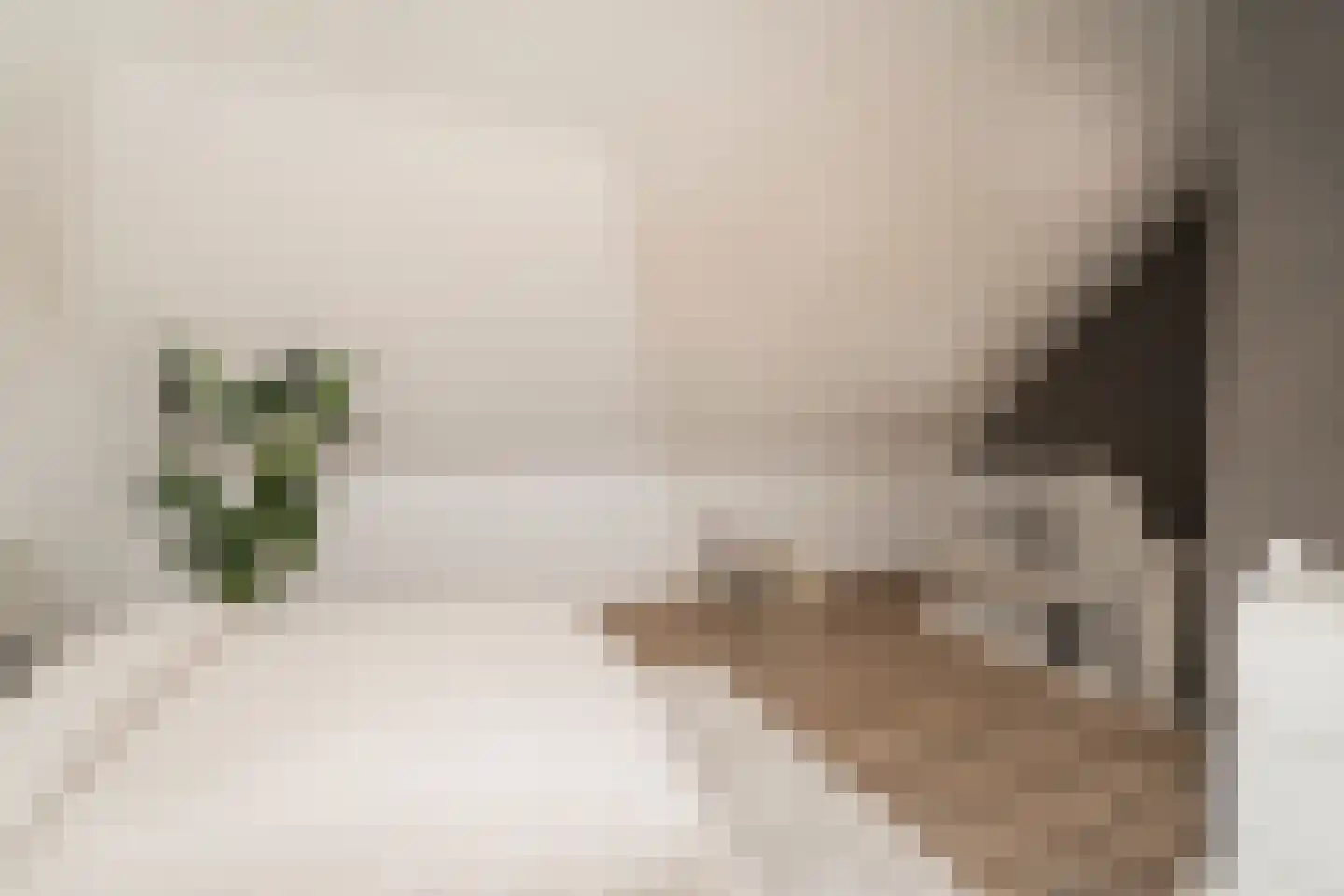 Pastinaak 4 Diessen thumbnail 37