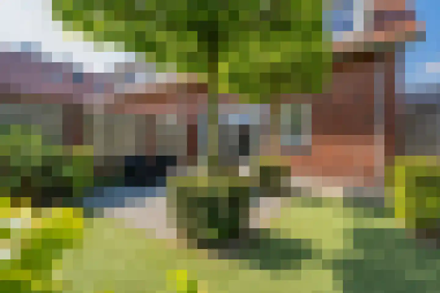 Pastinaak 4 Diessen thumbnail 44