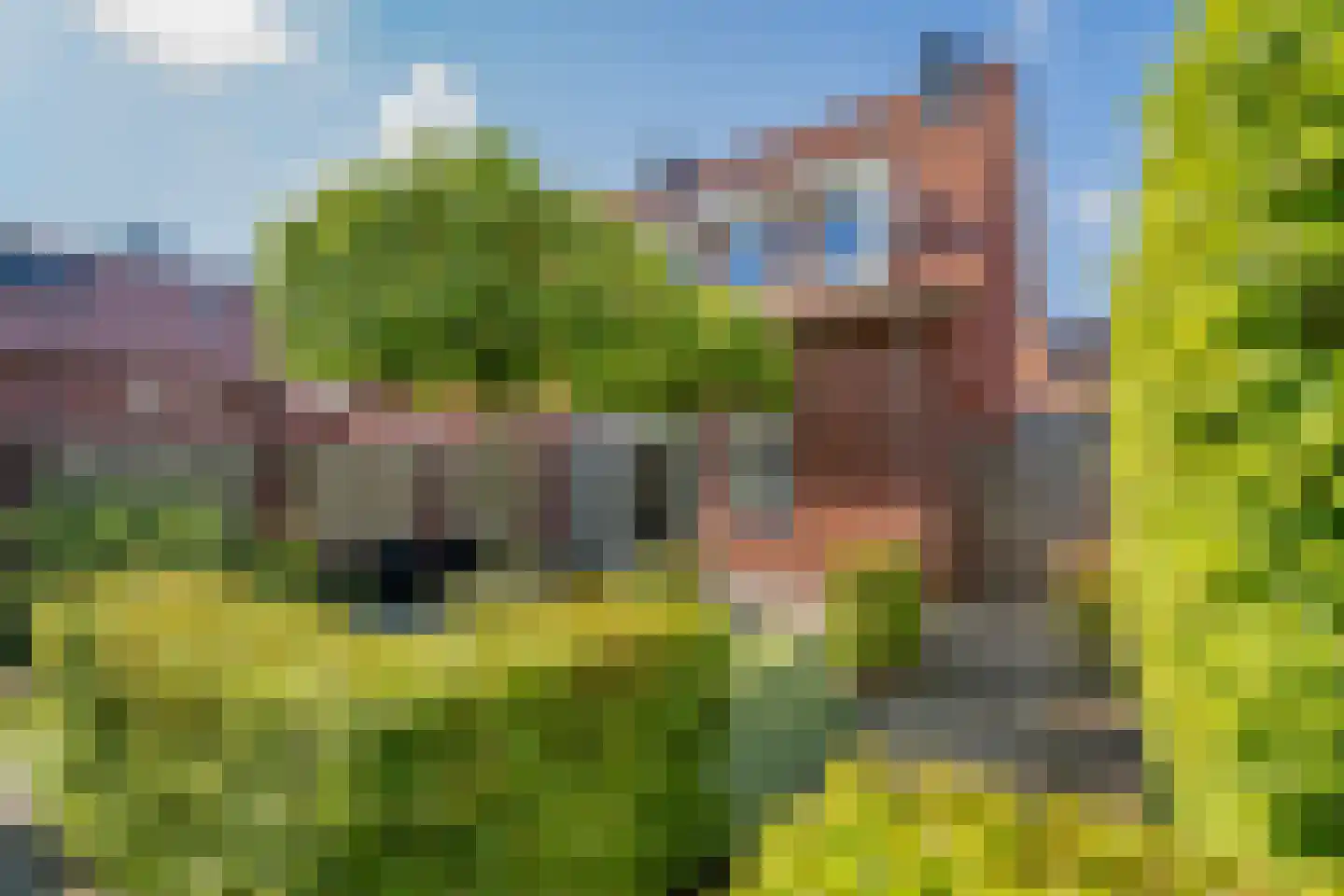 Pastinaak 4 Diessen thumbnail 45