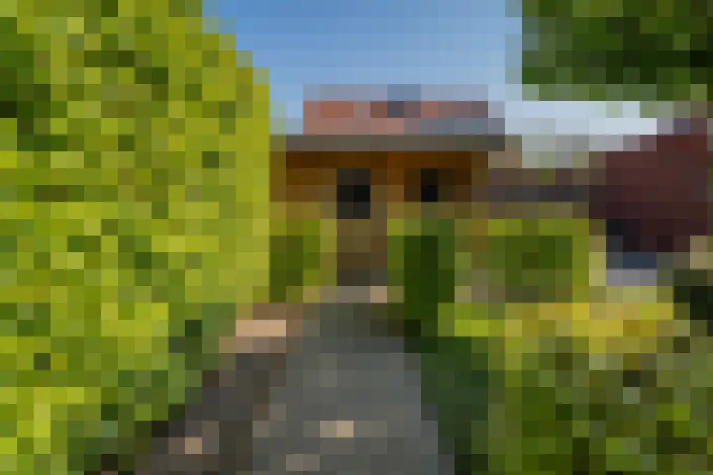 Pastinaak 4 Diessen thumbnail 47