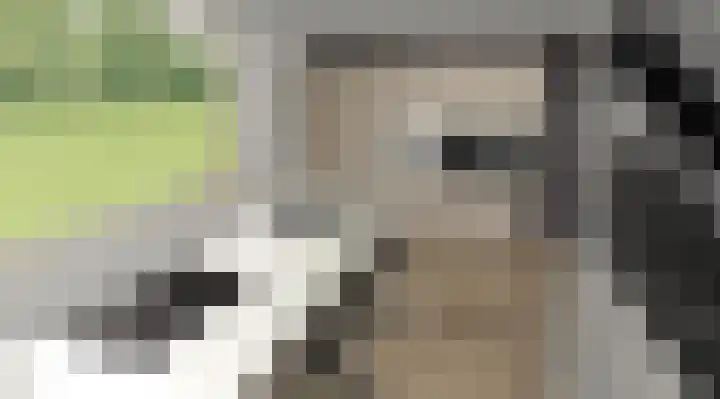 Pastinaak 80 Hazerswoude-Rijndijk thumbnail 10