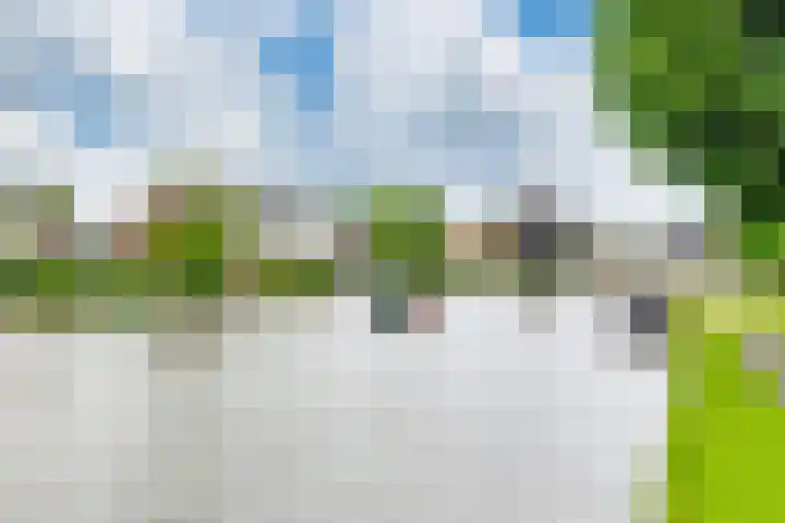 Pastinaak 80 Hazerswoude-Rijndijk thumbnail 19