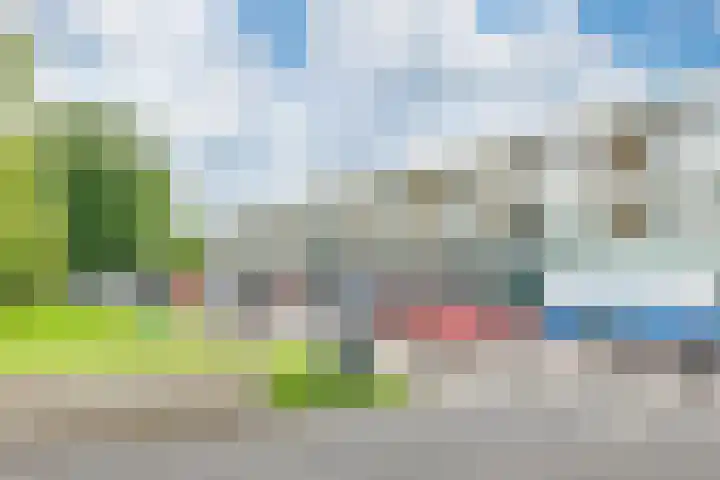 Pastinaak 80 Hazerswoude-Rijndijk thumbnail 22