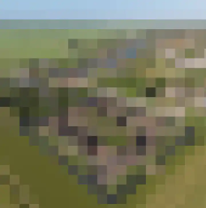 Pastinaak 80 Hazerswoude-Rijndijk thumbnail 25