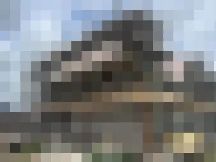 Pastinaak 80 Hazerswoude-Rijndijk thumbnail 6