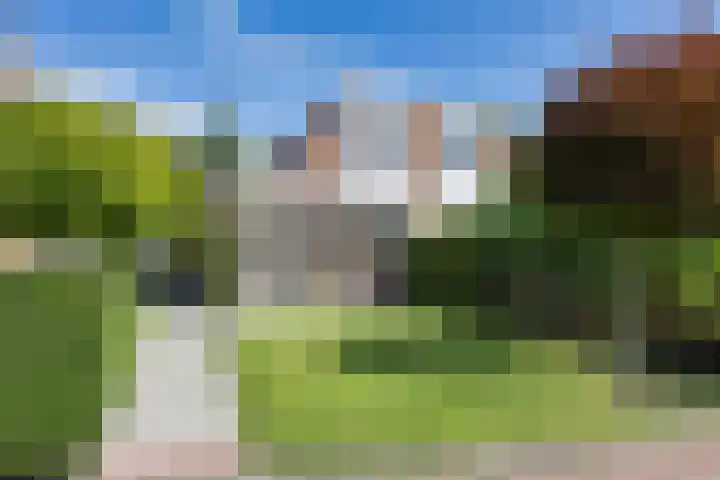 Pastoar ten Bokumstrjitte 5 Reahûs