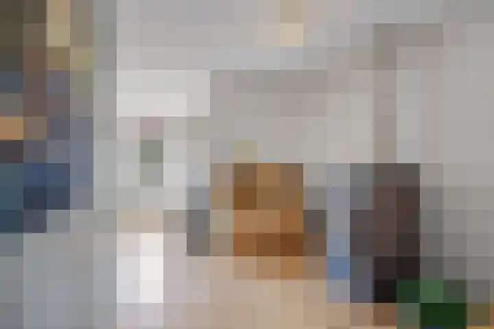 Pastoar ten Bokumstrjitte 5 Reahûs thumbnail 10