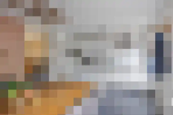 Pastoar ten Bokumstrjitte 5 Reahûs thumbnail 12