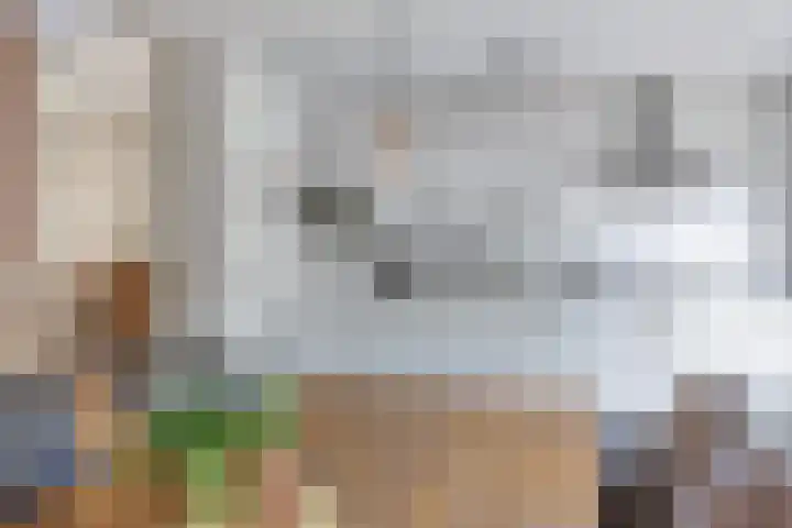 Pastoar ten Bokumstrjitte 5 Reahûs thumbnail 13
