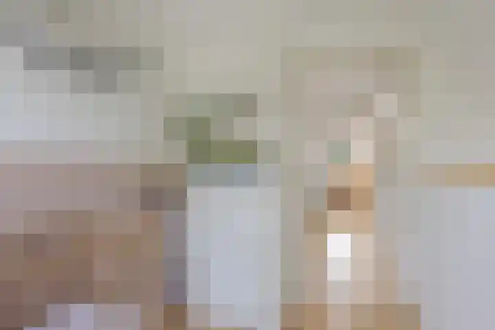 Pastoar ten Bokumstrjitte 5 Reahûs thumbnail 21