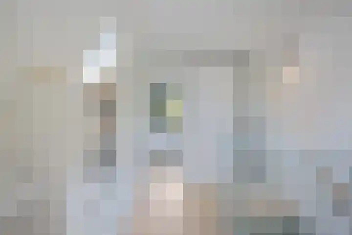 Pastoar ten Bokumstrjitte 5 Reahûs thumbnail 26