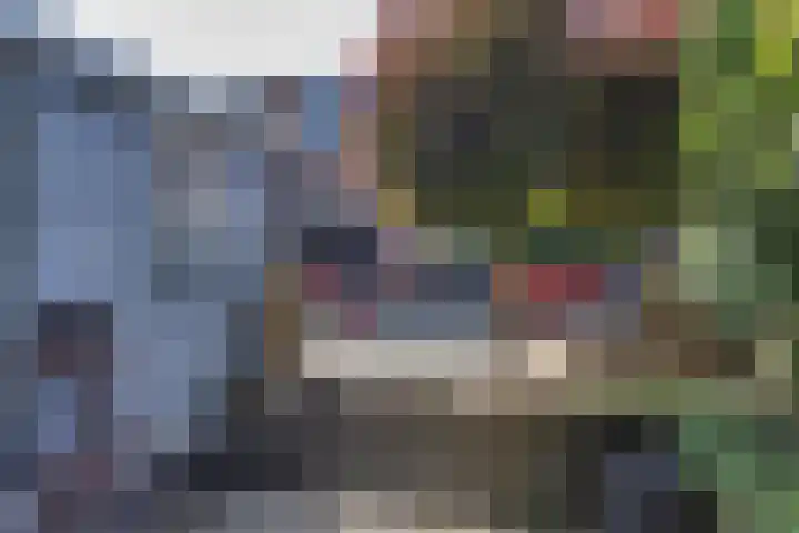 Pastoar ten Bokumstrjitte 5 Reahûs thumbnail 28