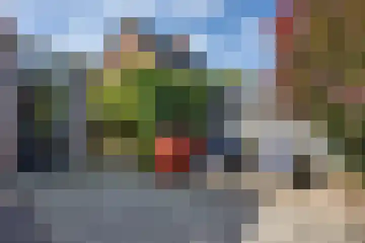 Pastoar ten Bokumstrjitte 5 Reahûs thumbnail 32