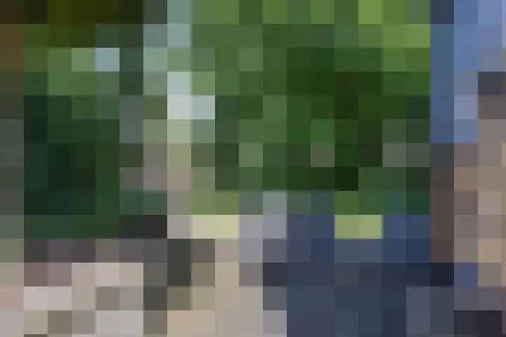 Pastoar ten Bokumstrjitte 5 Reahûs thumbnail 34