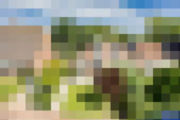 Pastoar ten Bokumstrjitte 5 Reahûs thumbnail 36
