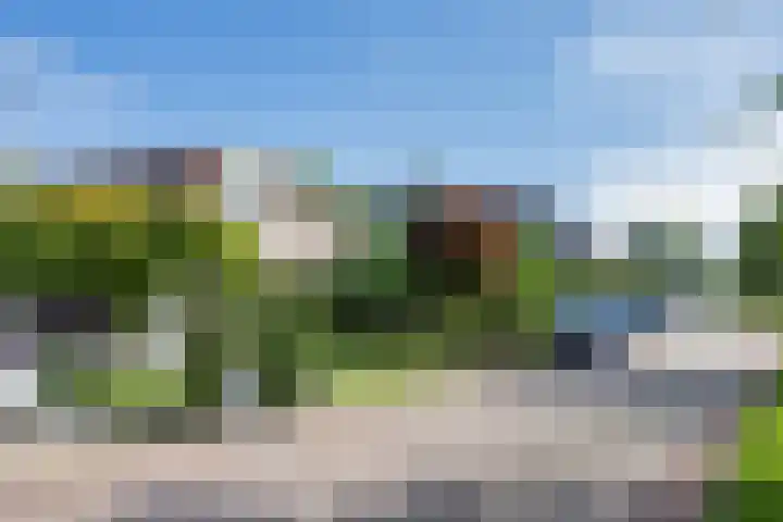 Pastoar ten Bokumstrjitte 5 Reahûs thumbnail 37