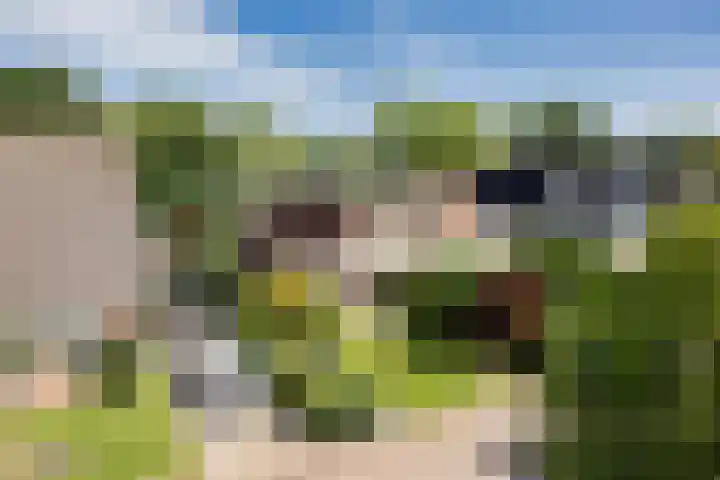 Pastoar ten Bokumstrjitte 5 Reahûs thumbnail 39