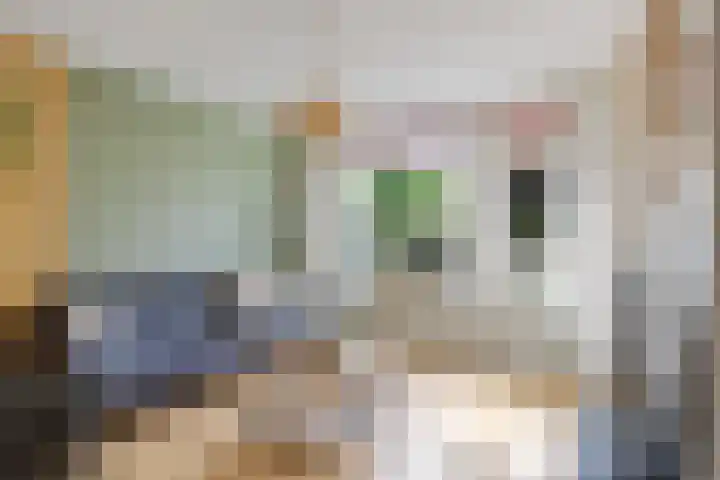 Pastoar ten Bokumstrjitte 5 Reahûs thumbnail 4