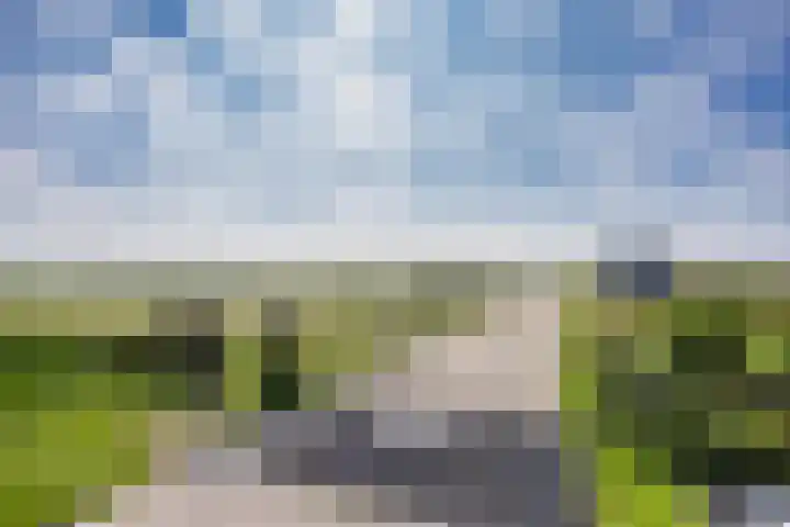 Pastoar ten Bokumstrjitte 5 Reahûs thumbnail 40