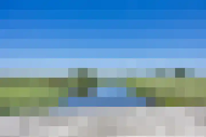 Pastoar ten Bokumstrjitte 5 Reahûs thumbnail 41