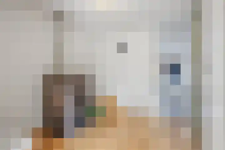 Pastoar ten Bokumstrjitte 5 Reahûs thumbnail 9