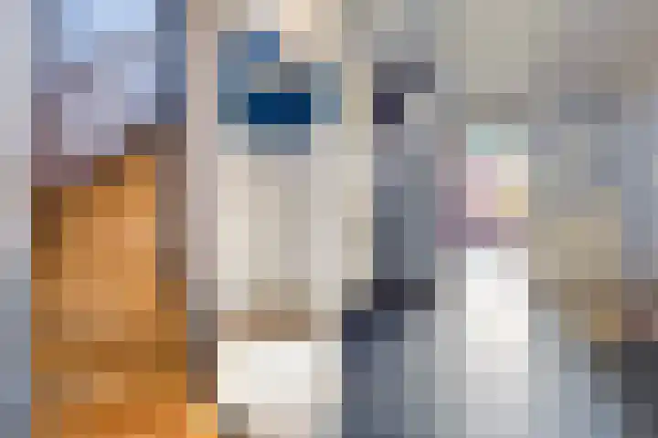 Pastoar ten Bokumstrjitte 7 Reahûs thumbnail 12