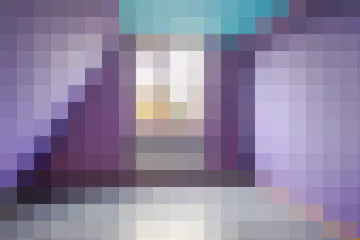 Pastoar ten Bokumstrjitte 7 Reahûs thumbnail 14