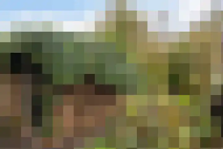 Pastoar ten Bokumstrjitte 7 Reahûs thumbnail 16