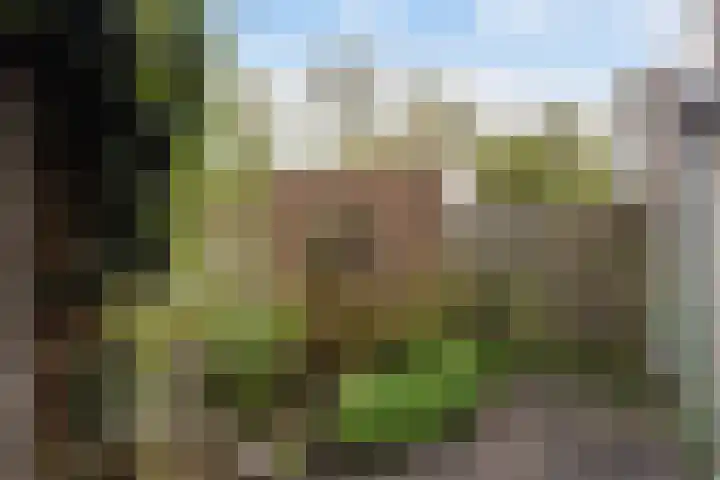 Pastoar ten Bokumstrjitte 7 Reahûs thumbnail 17