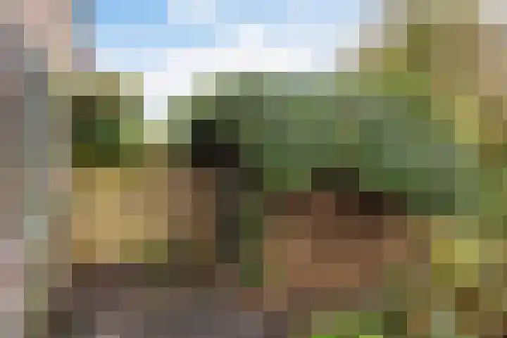 Pastoar ten Bokumstrjitte 7 Reahûs thumbnail 18