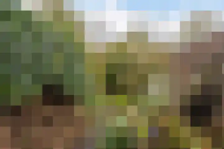 Pastoar ten Bokumstrjitte 7 Reahûs thumbnail 19
