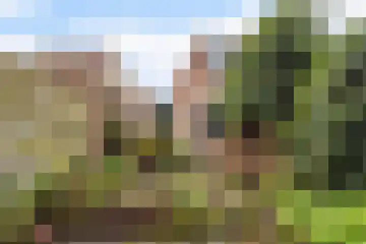 Pastoar ten Bokumstrjitte 7 Reahûs thumbnail 22