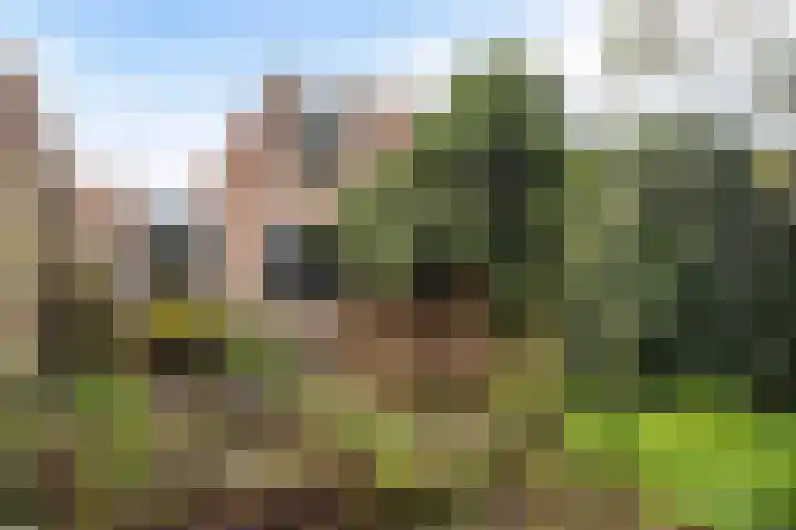 Pastoar ten Bokumstrjitte 7 Reahûs thumbnail 23