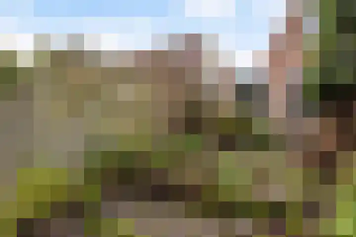 Pastoar ten Bokumstrjitte 7 Reahûs thumbnail 24