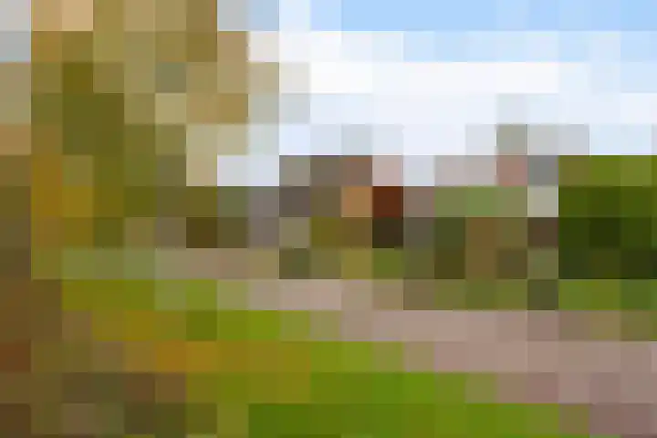 Pastoar ten Bokumstrjitte 7 Reahûs thumbnail 25