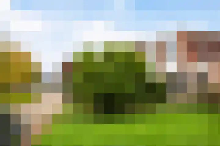 Pastoar ten Bokumstrjitte 7 Reahûs thumbnail 26