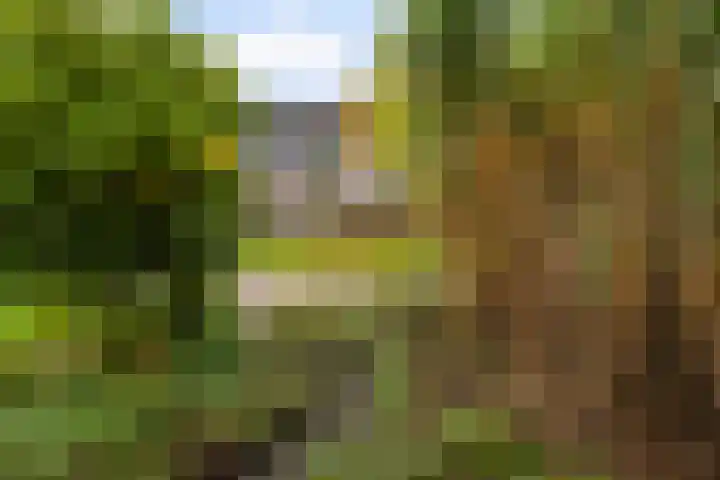 Pastoar ten Bokumstrjitte 7 Reahûs thumbnail 28
