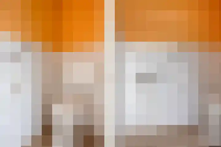 Pastoar ten Bokumstrjitte 7 Reahûs foto 3