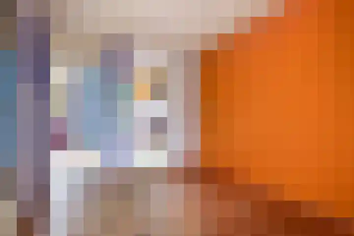 Pastoar ten Bokumstrjitte 7 Reahûs thumbnail 6