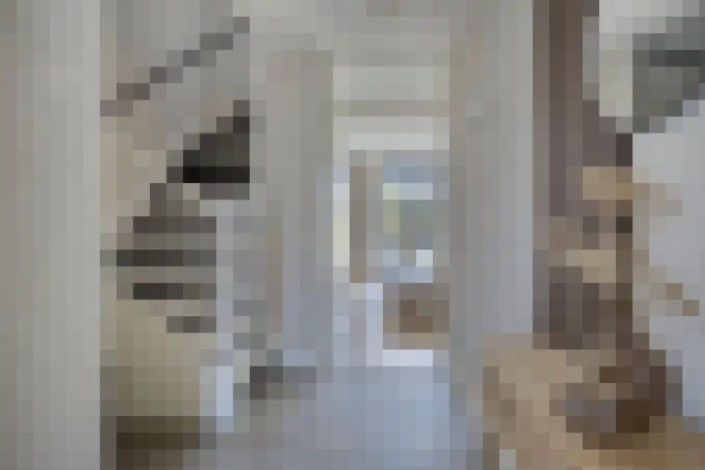 Pastoor A.C. Damesstraat 11 Klazienaveen thumbnail 15