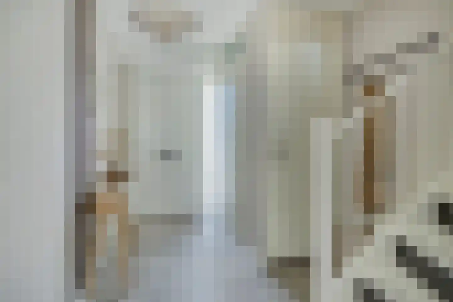 Pastoor A.C. Damesstraat 11 Klazienaveen thumbnail 16