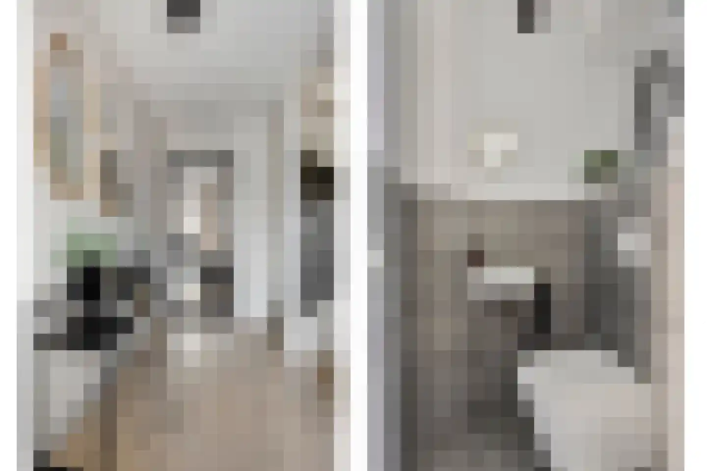 Pastoor A.C. Damesstraat 31 Klazienaveen thumbnail 4