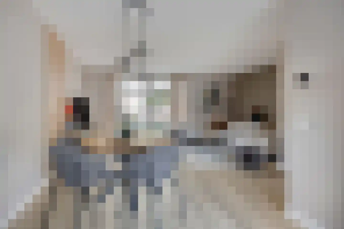 Pastoor A.C. Damesstraat 31 Klazienaveen thumbnail 9