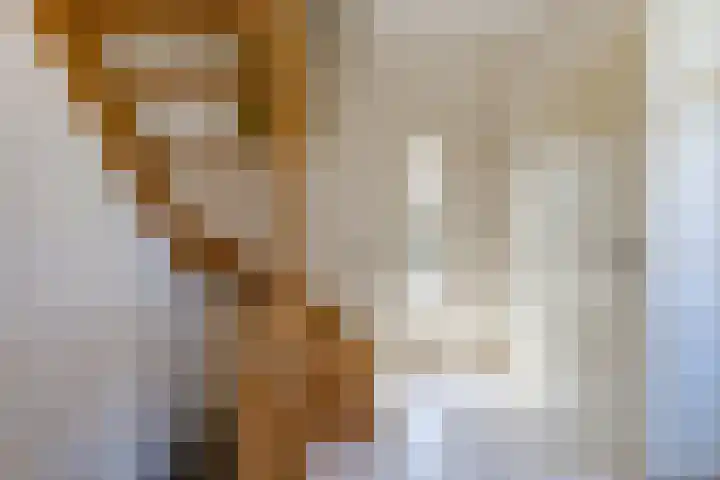 Pastoor Albertsstraat 10 Puth thumbnail 21