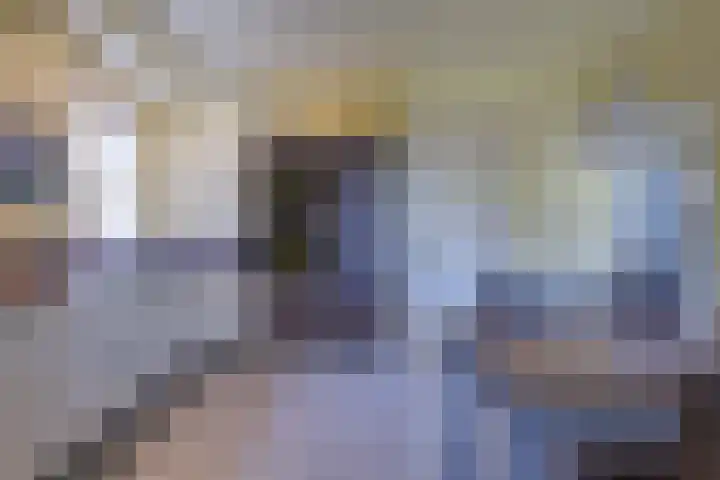 Pastoor Albertsstraat 10 Puth thumbnail 31